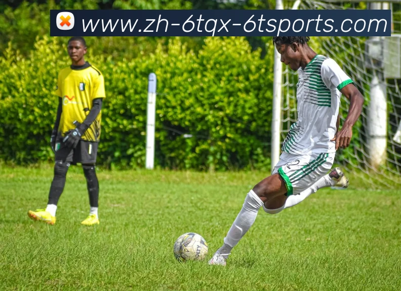 6T体育APP 体育赛事宣传图